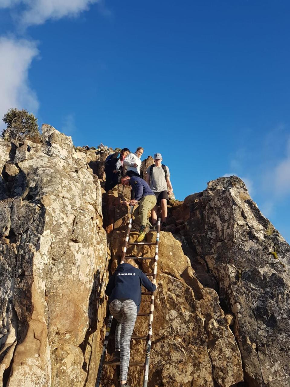 Atlantic Point Backpackers Vandrerhjem Cape Town Eksteriør bilde